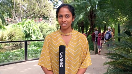 Guide dogs now permitted inside Adelaide Zoo