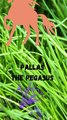 PALLAS THE PEGASUS