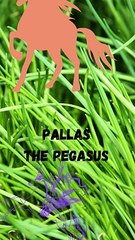 PALLAS THE PEGASUS