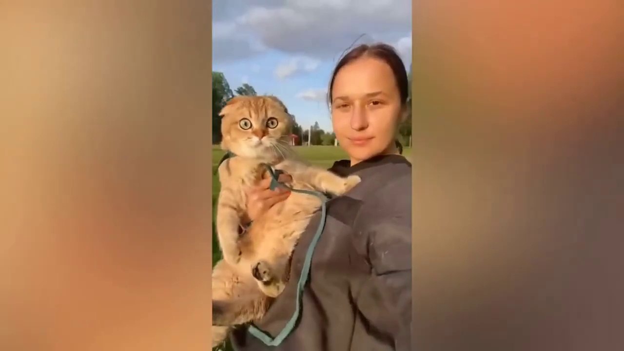 New Funny Animals Video 2023 _ Funniest Cats and Dogs Videos _ New Funny Video Of Cat And Dogs #271