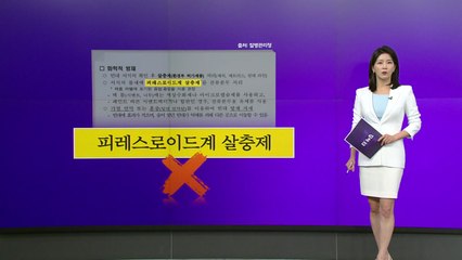 빈대 퇴치법, 뭐가 맞고 뭐가 틀리나 [앵커리포트] / YTN