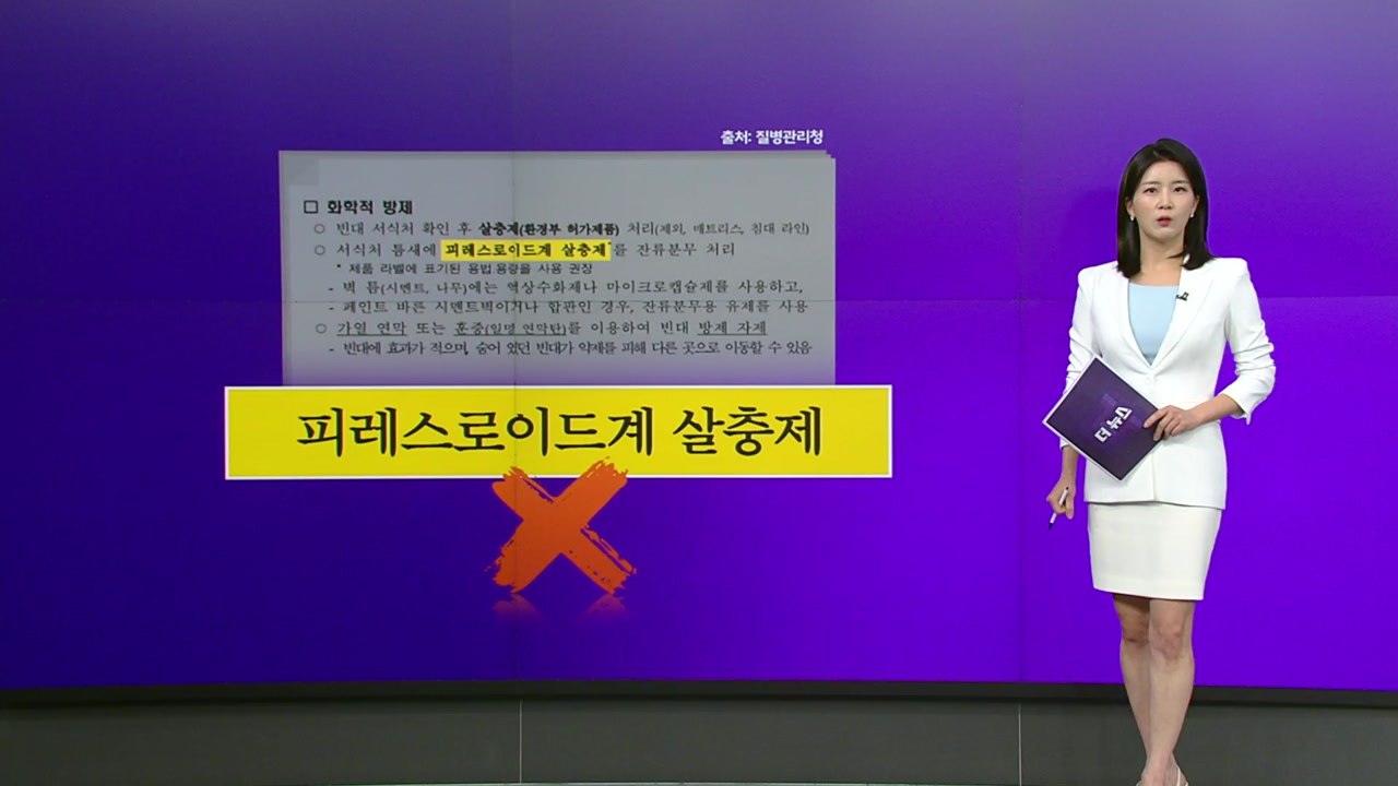 빈대 퇴치법, 뭐가 맞고 뭐가 틀리나 [앵커리포트] / YTN