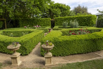 Beautiful garden in Pialligo open this weekend