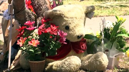 Man charged over crash which killed two teenagers in Sydney