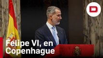 La honorable cena de gala a la que asistieron los Reyes en Copenhague
