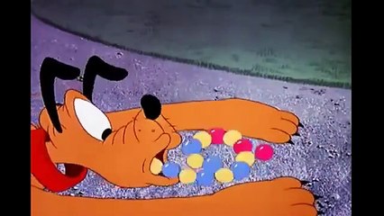 Donald Duck, Pluto, Chip And Dale   Special Complete PLaylist