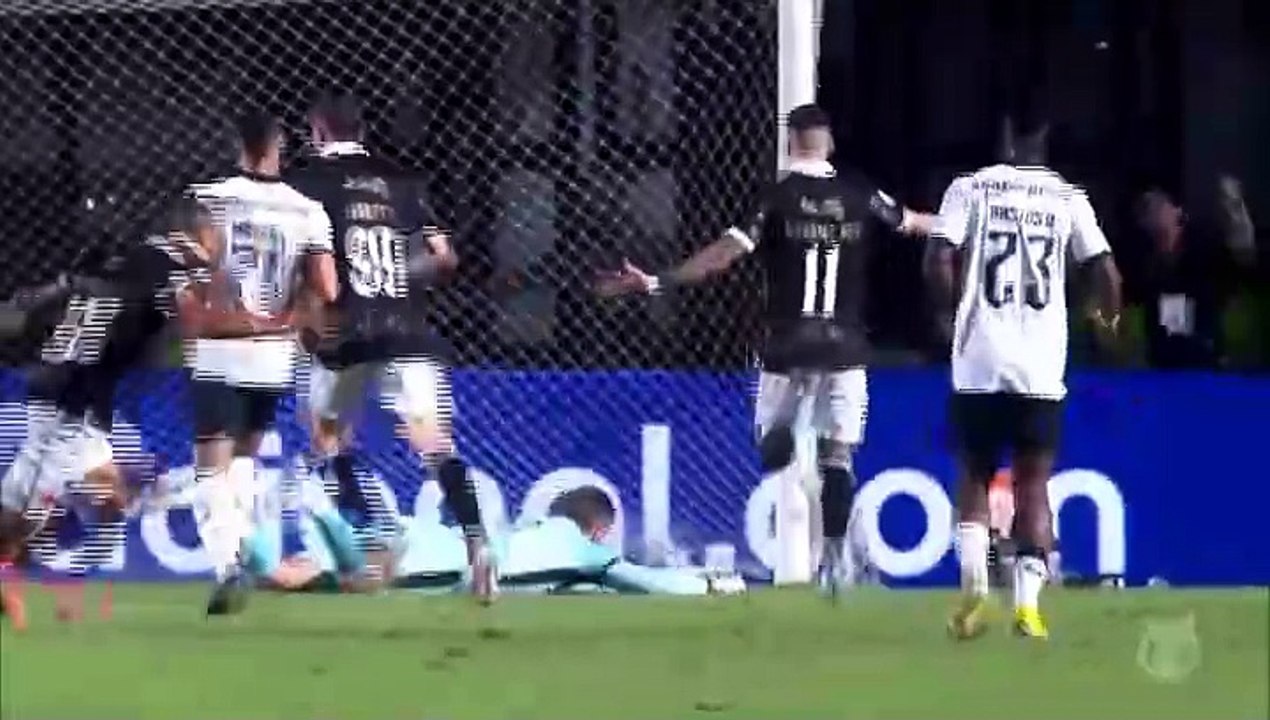 Vasco da Gama 1-0 Win Over Botafogo Rj in the Brazil Serie A