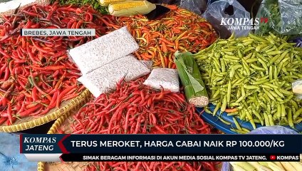 Terus Meroket, Harga Cabai Naik Rp100.000 Per Kilogram