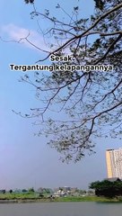 Ceramah ustadz hanan