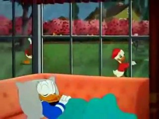 Donald Duck Donald's Happy Birthday