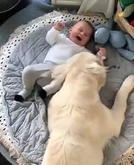 Heartwarming Moments: Cute Boy Playing with His Beloved Dog "