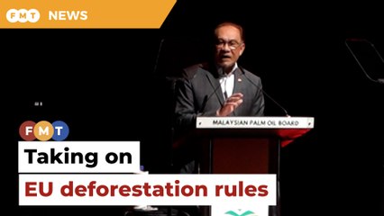 Thailand joins Malaysia, Indonesia against EU deforestation rules