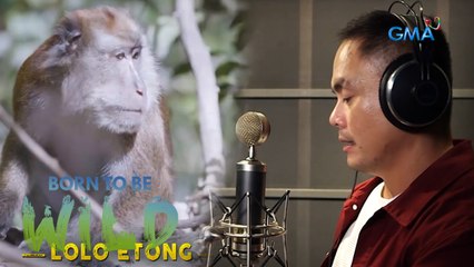 The tales of “Lolo Etong," the elder macaque | Born to be Wild