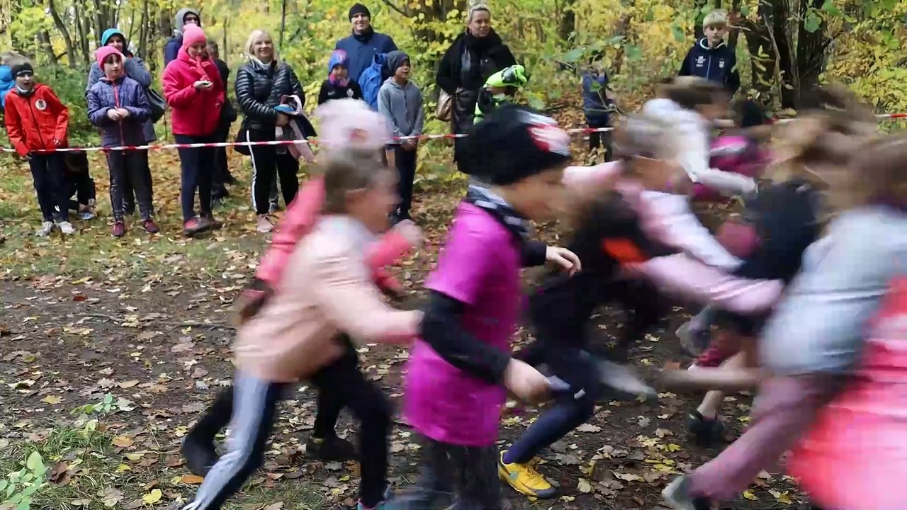 Pobiegli z okazji Święta Niepodległości