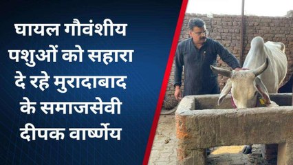 मुरादाबाद: कभी एक घायल गाय को दिया सहारा, आज डेढ़ सौ से अधिक गौवंशीय पशुओं की सेवा
