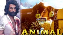 Will Ranbir Kapoor’s ‘Animal’ Roar At Box Office This December- ShatteringRecords?