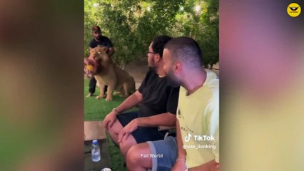 Damn Nature You Scary - FUNNY Scary Animal Encounters