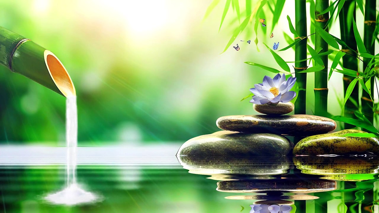 Free background videos - 4K  bamboo, stone, water and beautiful nature