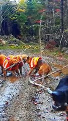 Socially Awkward But Happy To Be Invited