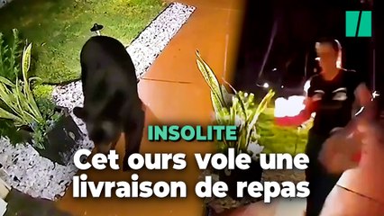 Cet ours a volé la commande UberEats d’une famille sur le pas de leur porte en Floride