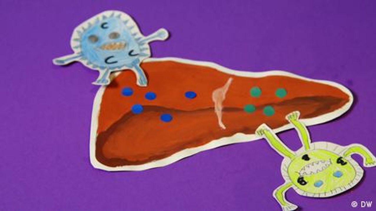 Hepatitis - so kann man sich schützen