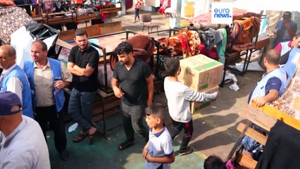 Latest news bulletin | November 8th – Midday