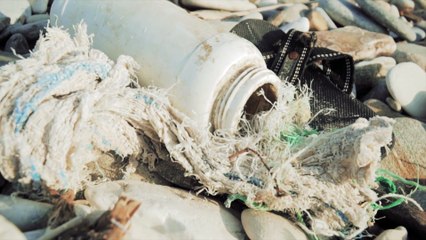 final project final version