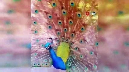 CİMER'e bu sefer öyle bir şeyi şikayet ettiler ki...