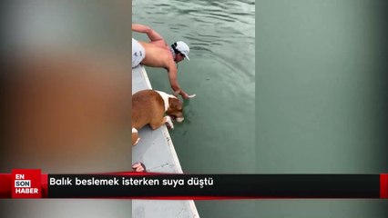 Balık beslemek isterken suya düştü