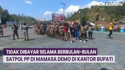 Tidak Dibayar Selama Berbulan-Bulan, Satpol PP di Mamasa Demo di Kantor Bupati