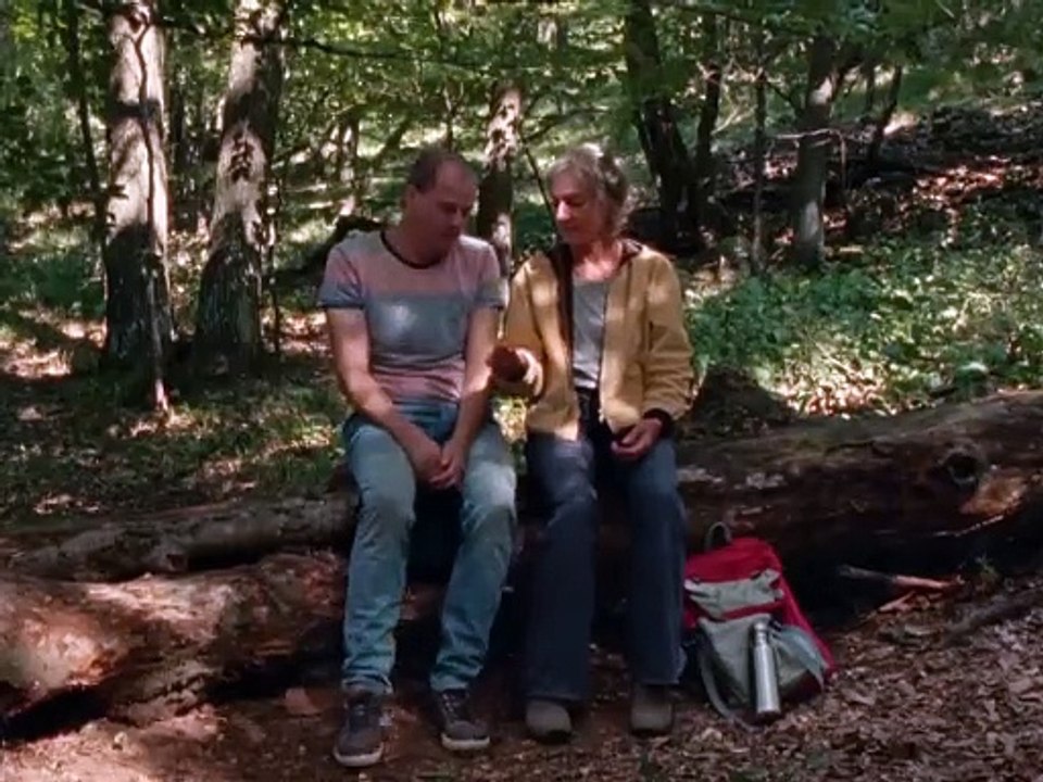 I am here! Trailer DF