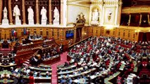 100% Sénat - Le Sénat poursuit l'examen du projet de loi immigration