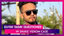 Elvish Yadav Snake Venom Case: Bigg Boss OTT Winner Questioned For Two Hours By Noida Cops