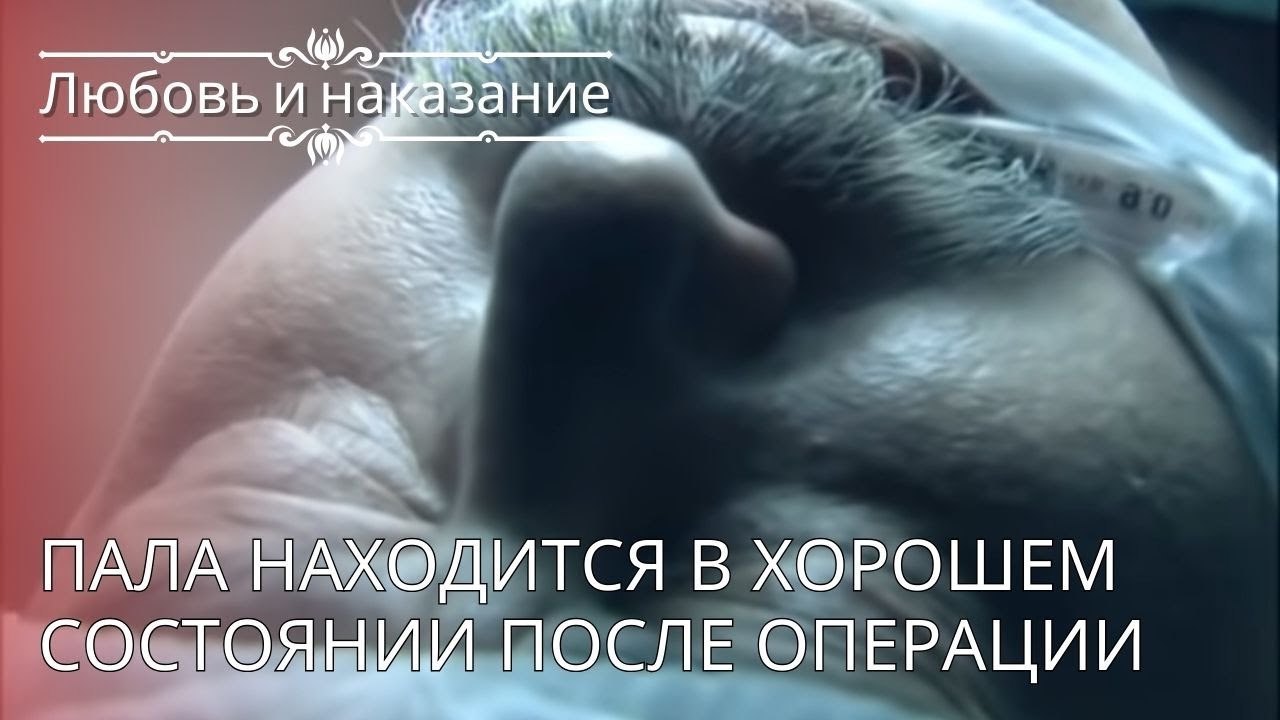 Пала находится в хорошем состоянии после операц...
