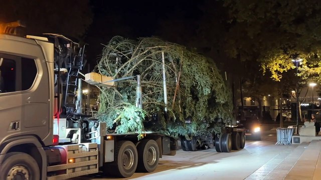 La sapin de Noël est arrivé, place Jean-Jaurès !