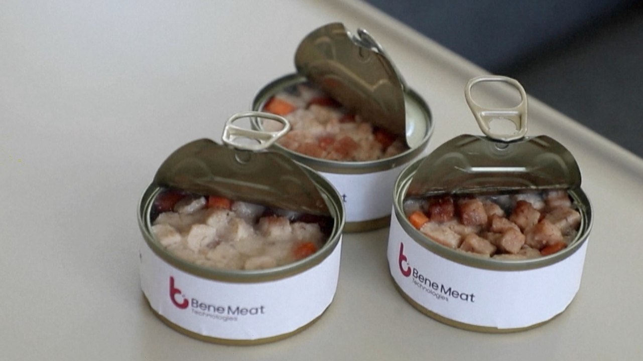 Czech StartUp Wins EU Approval for LabGrown Pet Food video Dailymotion
