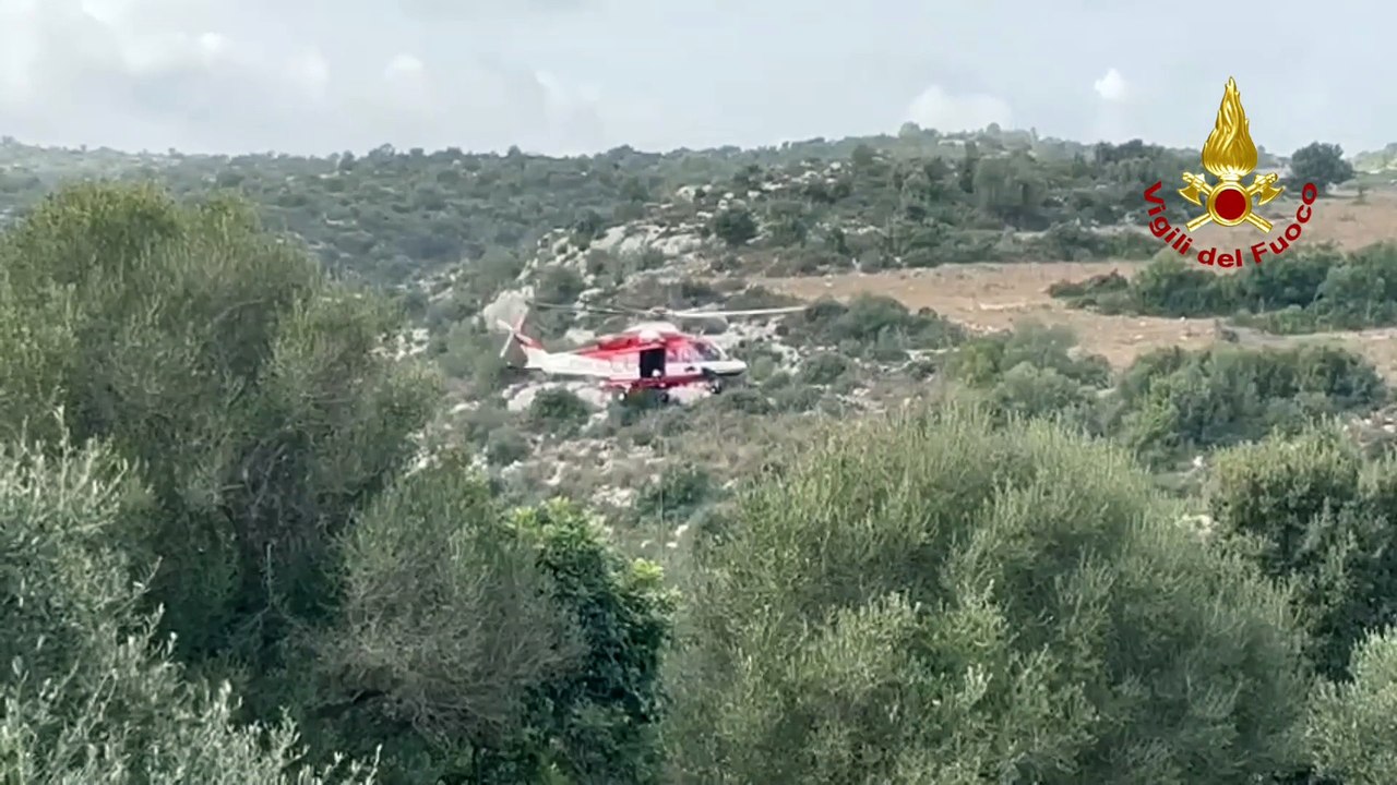 Noto, una mucca precipita in un fossato e viene recuperata da un elicottero dei vigili del fuoco