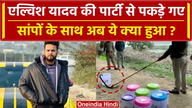 Elvish Yadav की Rave Party में पकड़े गए सांपों के साथ अब ये हुआ | वनइंडिया हिंदी #Shorts