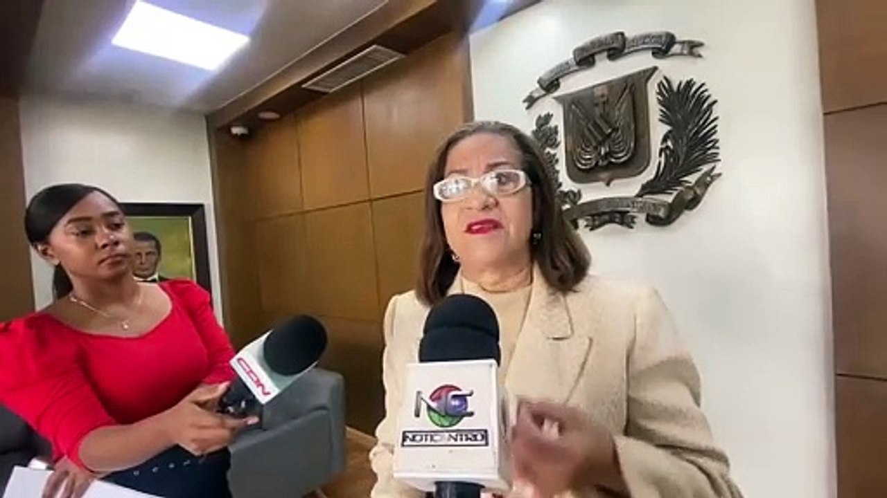 PQDC pide a JCE que desligue de misión de observación a experto informático con "causas judiciales"