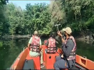 जवाहर सागर रेंज में मिला बाघ एमटी 5-video