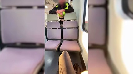 Acoso por parte de un vigilante de Renfe a una pasajera de Rodalies