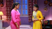 Disney+ Hotstar - Sri Devi Ashok Episode  | RAJA RANI serial