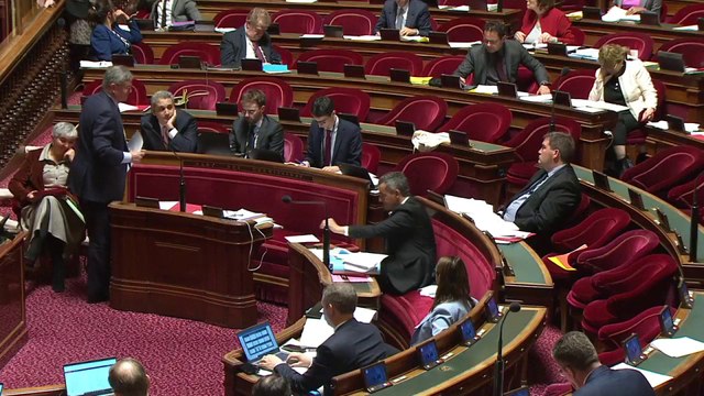 Immigration : le Sénat conditionne le versement des allocations familiales