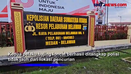 Bajing Loncat Incar Truk dari Luar Kota, Curi 1 Karung Gula di Medan