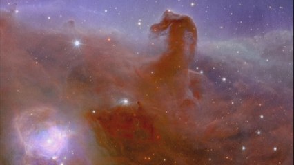 "À couper le souffle" : le télescope spatial européen Euclid diffuse ses premières images