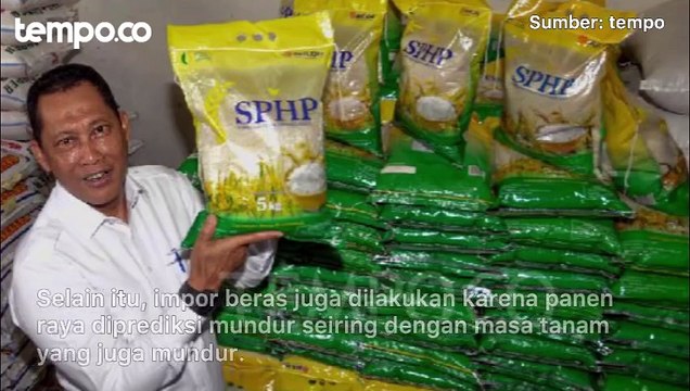 Buwas: Pemerintah Alokasikan Impor Beras 2 Juta Ton Tahun Depan