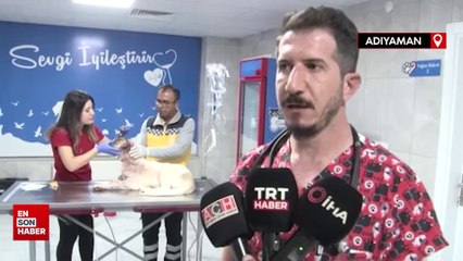 Adıyaman'da sahibi tarafından 13 yerinden bıçaklanan köpeğe 150 dikiş atıldı