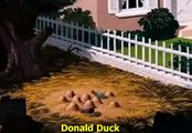 Donald Duck   Uncle Donalds Ants   Classic Cartoon
