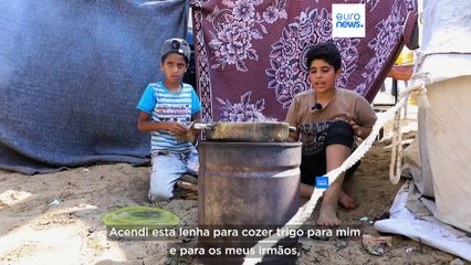 "Durmo com fome, porque não há pão". Sobrevivência na Faixa de Gaza é cada vez mais difícil
