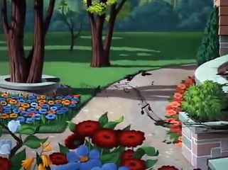 Donald Duck Slide Donald Slide 1949  Old Cartoons